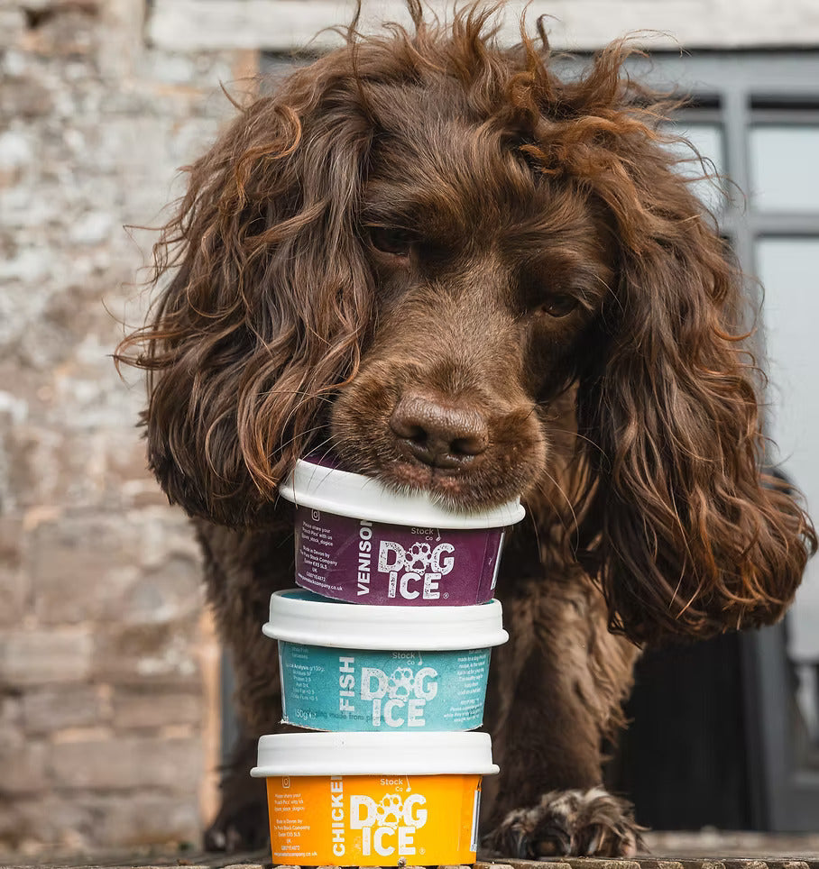 DOG ICE - Frozen Dog Treats