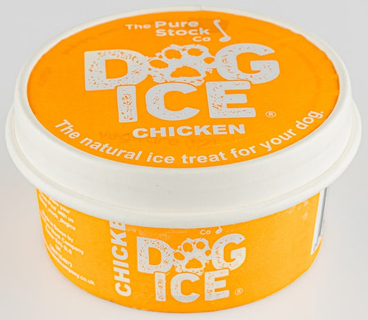 Frozen Dog Ice treat chicken in 150ml tub